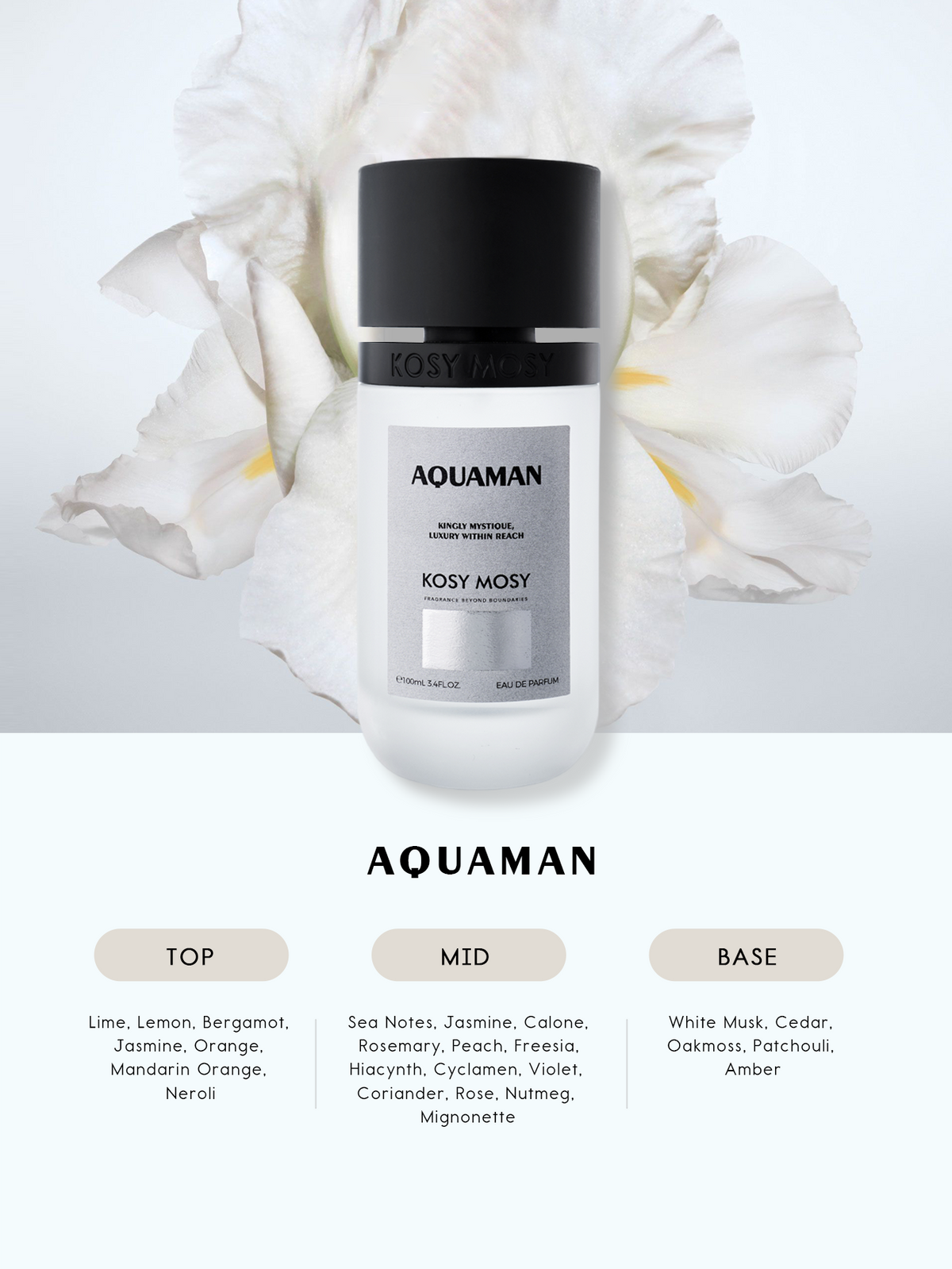 AQUAMAN 100ML EAU DE PARFUM FOR MEN