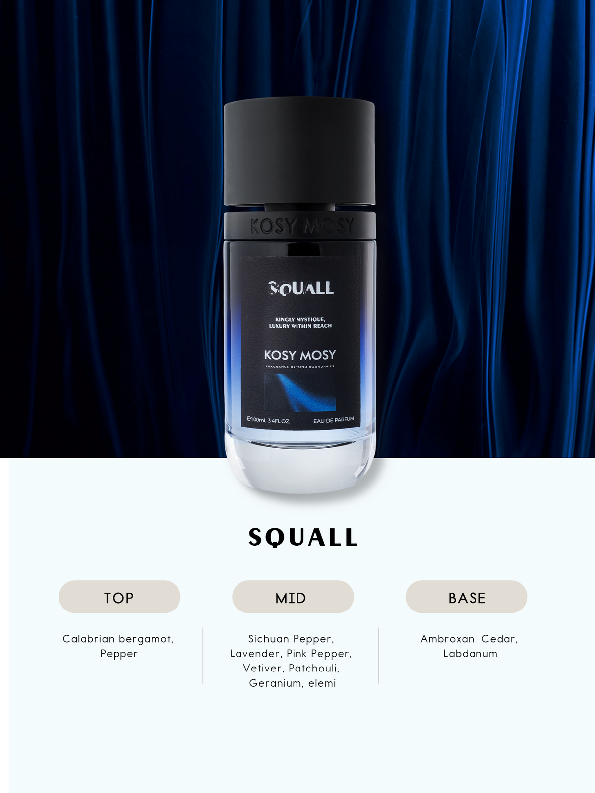 SQUALL 100ML EAU DE PARFUM FOR MEN